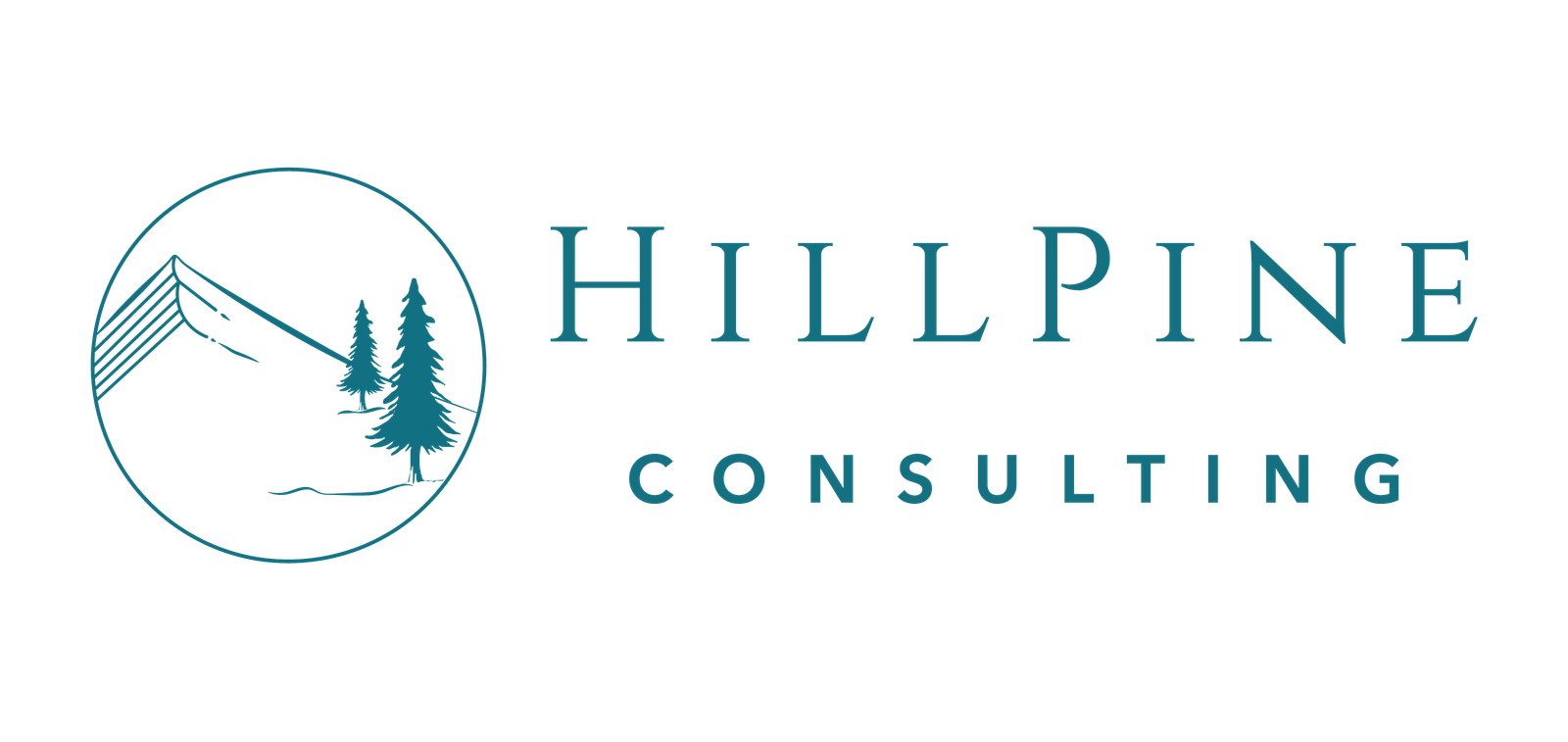 The Financial Due Diligence Compendium — Hillpine Consulting